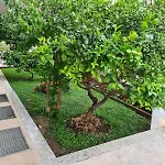 Διαμέρισμα Ami Strozanac