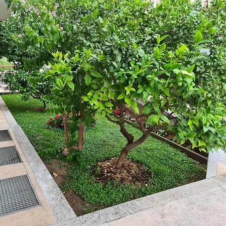 Apartman Ami Strozanac